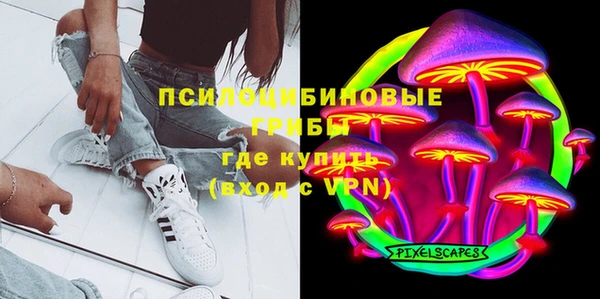 ALPHA PVP Медвежьегорск